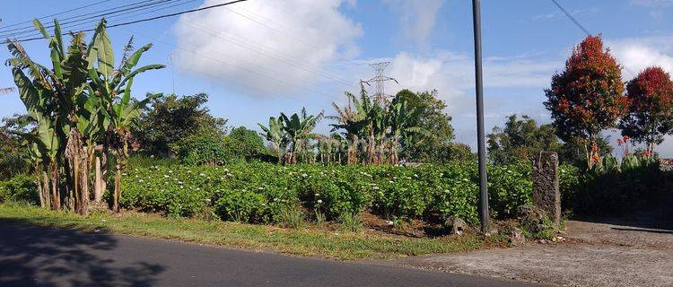 Dijual tanah lokasi wanagiri suka sada buleleng 1