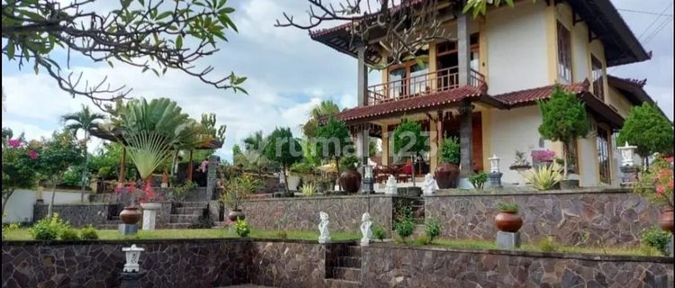 Dijual villa lokasi lovina buleleng bali 1