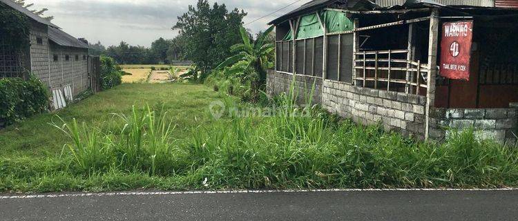 PASTI CLOSING DI JUAL TANAH VIEW SAWAH PINGGIR JALAN LOKASI MENGWITANI BADUNG
 1