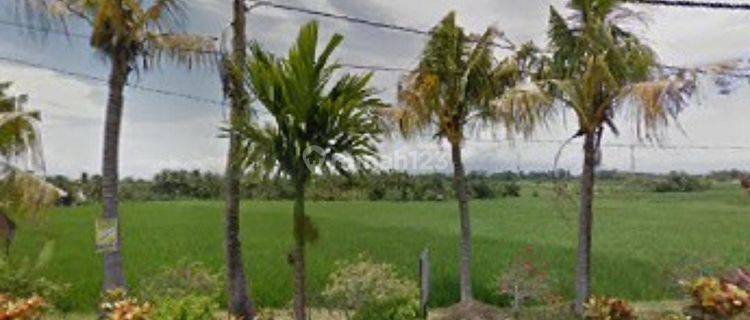 CERTAINLY CLOSING FOR RENT LAND ON THE ROAD SIDE, TANAH LOT LOCATION, KEDIRI, TABANAN 1