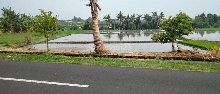 PASTI CLOSING DI JUAL TANAH LOKASI GUBUG TABANAN
 1