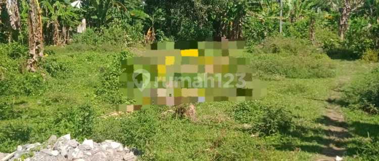 Pasti Cloaing Di Sewakan Tanah Lokasi Batuan Kaler Sukawati Gianyar 1