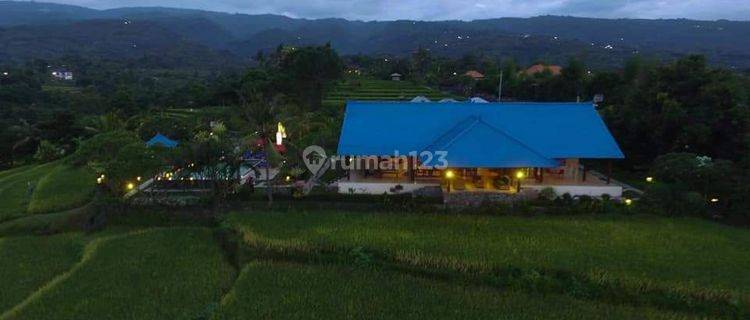 TOP URGENT DI JUAL VILLA LOKASI KAYUPUTIH SUKASADA BULELENG  1