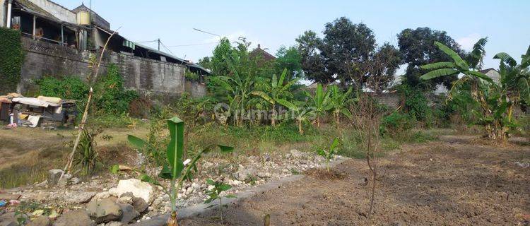 TOP URGENT FOR SALE LAND LOCATION LUKLUK MENGWI BADUNG  1