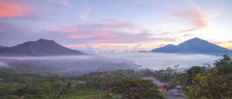 TOP URGENT DI JUAL TANAH VIEW DANAU & GUNUNG BATUR LOKASI PANELOKAN KINTAMANI BANGLI  1