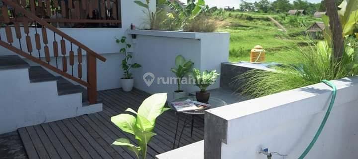 TOP URGENT DI JUAL VILLA VIEW SAWAH LOKASI KEMENUH UBUD GIANYAR 1