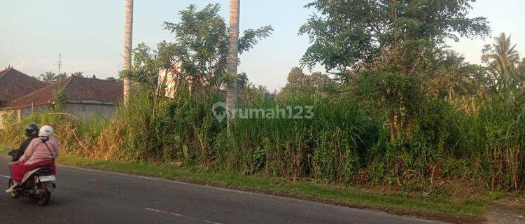 TOP URGENT ROADSIDE LAND FOR SALE SANGEH ABIANSEMAL BADUNG LOCATION
 1