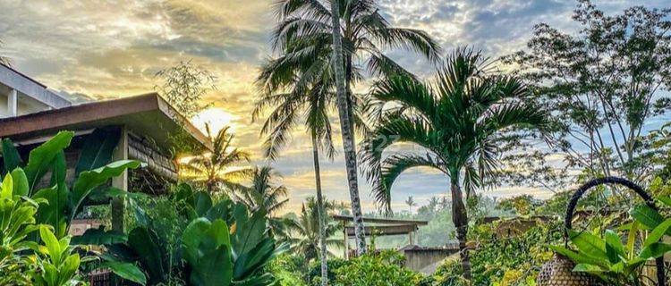 TOP BRO DI JUAL HOTEL LOKASI UBUD GIANYAR  1