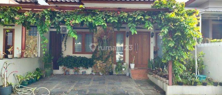 Dijual Rumah Lux Furnished Di Perum Cigadung Hills 1