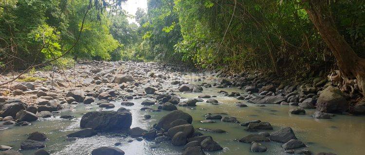 Tanah Jual Lokasi Klecung 1