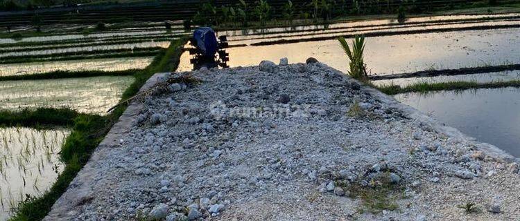 Tanah Jual Lokasi Pantai Nyanyi 1