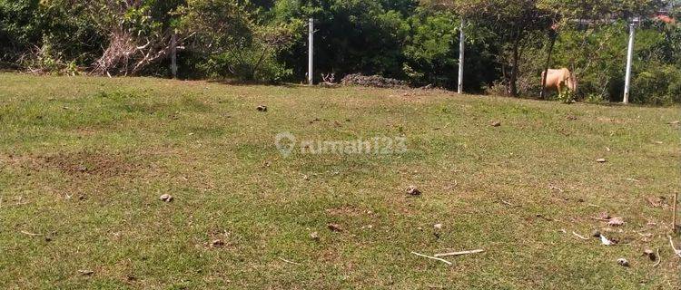 Tanah Jual Lokasi Ungasan 1