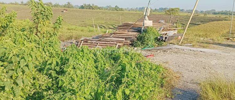 Tanah Jual Lokasi Kaba Kaba 1