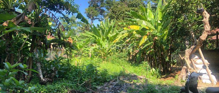 Land for sale in Sayan location 1