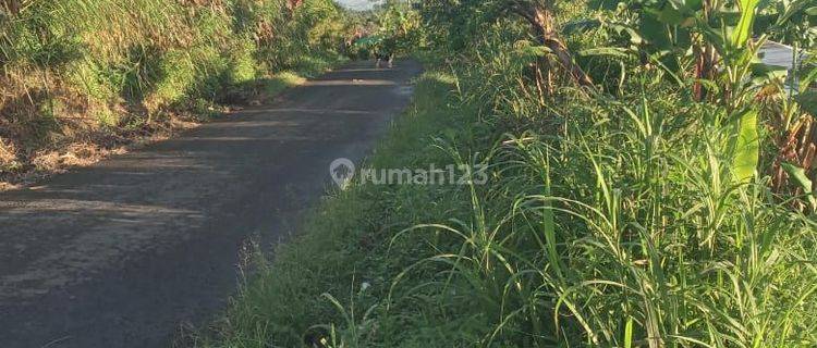 Land for sale in Wanagiri location 1