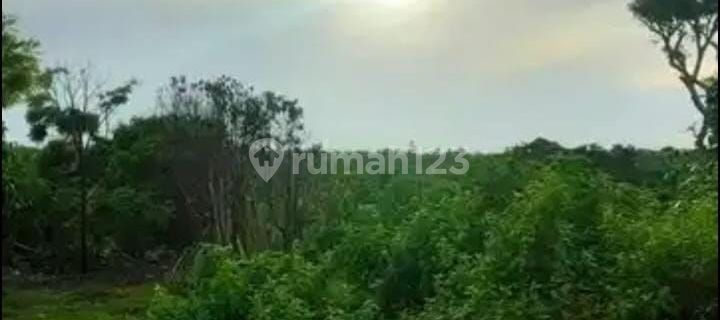 Tanah Jual Lokasi Ungasan 1