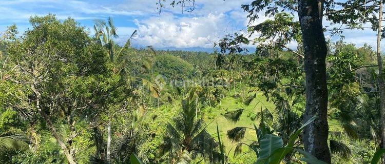 Tanah Jual Lokasi Buahan 1