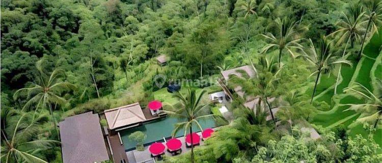 VILLA HILLCLIFF SUPER PREMIUM PAYANGAN 1