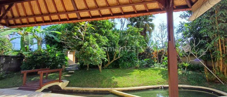 VILLA PREMIUM LUAS NYAMAN TENANG UBUD 1