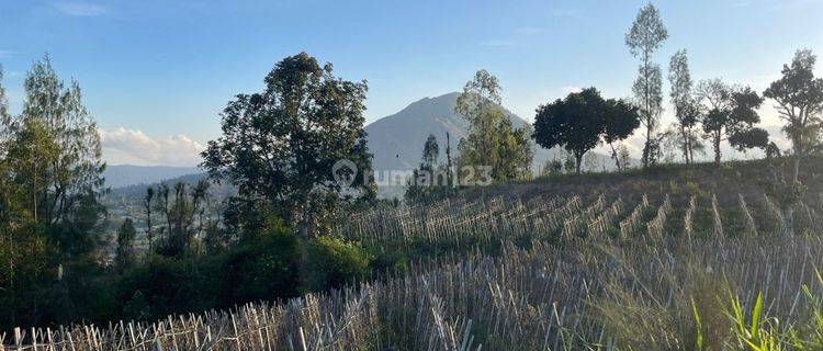 Premium Land in Kintamani Tourism Area 15 Are 1