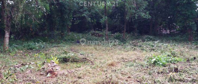 Tanah Luas Lokasi Strategis Dekat Kampus Di Pondok Cabe NS0065 1