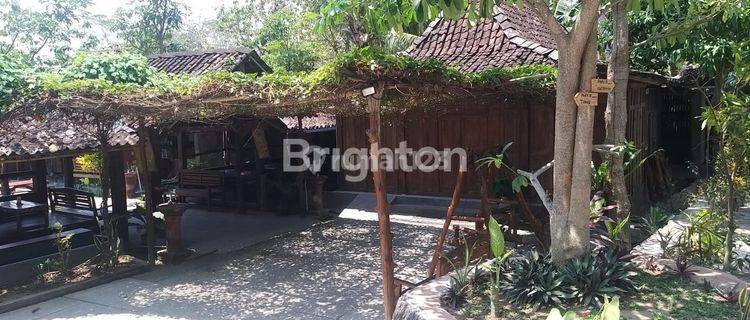 TANAH BONUS RESTO DI PENGASIH KULON PROGO 1