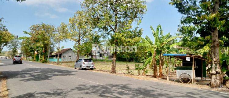 TANAH SAWAH DI MARGOSARI PENGASIH KULON PROGO 1