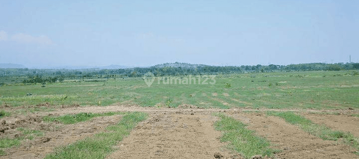 Lahan 82.6Ha, HGB, Tanggungharjo, Grobogan, Jateng(J.yn.123) 1