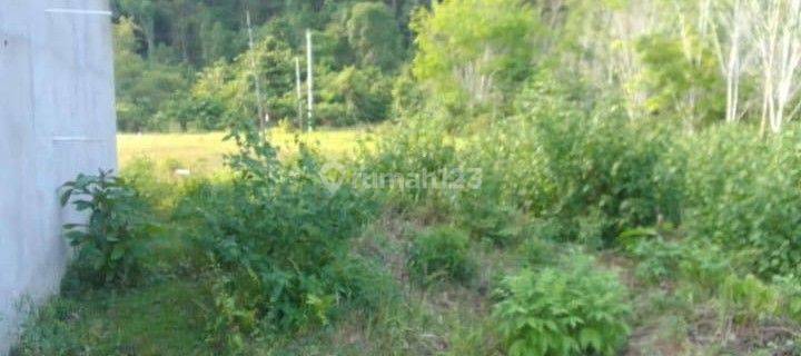 Tanah 3 ha, cuma 9M, Korowou, Lembo, Morowali Utara,Sulteng(dyh) 1