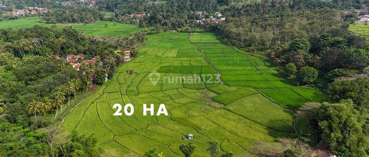 Jual Tanah Luas 20 Hektar di CIBINONG CIANJUR 1