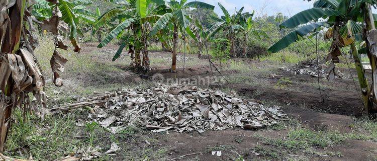 Tanah Kavling SHM Lokasi Strategis di Kutoarjo, Purworejo 1