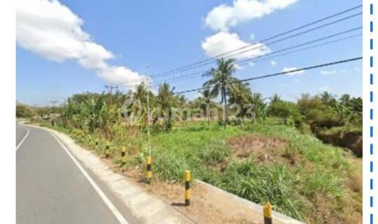 Dijual Tanah Nol Jalan Raya Sengkol Lombok 1