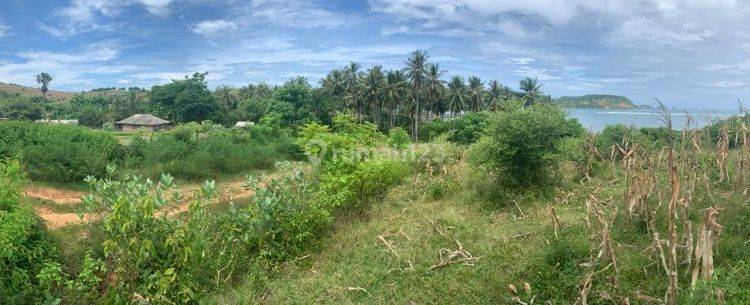 Dijual Tanah di Kawasan Pantai Dondon Lombok Tengah 1