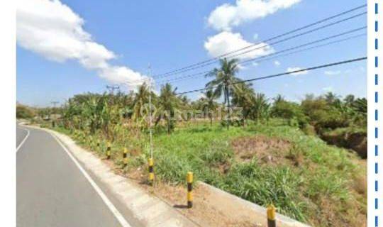 Dijual Tanah Nol Jalan Raya Sengkol Lombok 1