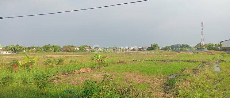 Dijual Tanah Second Road Lingkar Timur Sidoarjo 1