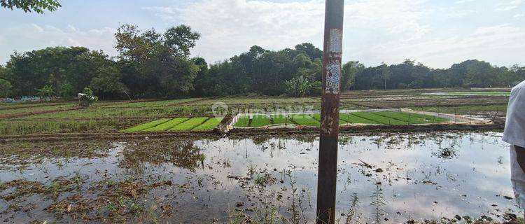 Tanah di Jual 200ha di Loji Kobong Majalengka Jawa Barat  1