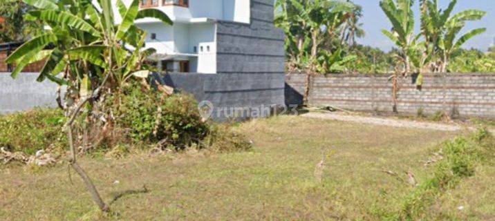 For sale quickly, very cheap prices for plots of land in the elite Green Lovina Residance Kali Asem Lovina Singaraja housing complex.  1