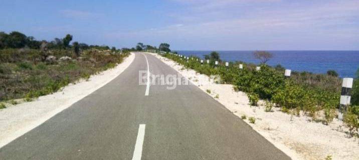 DIJUAL TANAH SUMBA ADA 3 HAKTEL 2 SERTIFIKAT HARGA JUAL GROBAL 1,5 MILIAR 1
