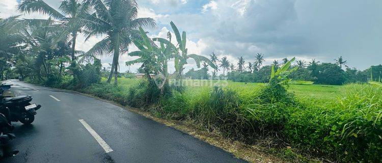 Disewakan tanah lokasi lodtunduh ubud gianyar 1