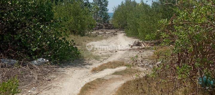 Dijual tanah los pantai lokasi pejarakan gerokgak bulelelng 1