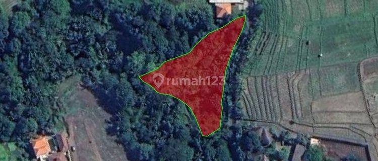 Land for rent in the river, Buwit location, near the resort 1