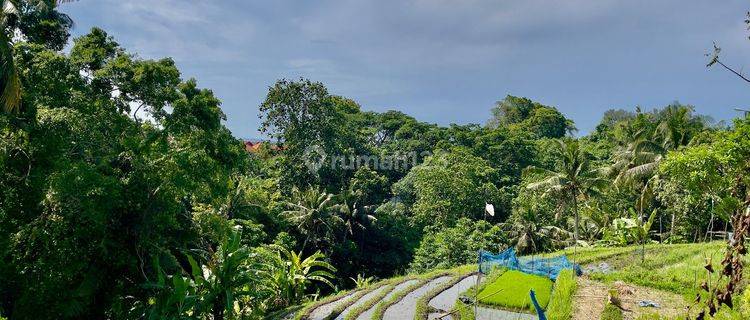 Land for rent in the riverside location of Buwit Tabanan Bali 1