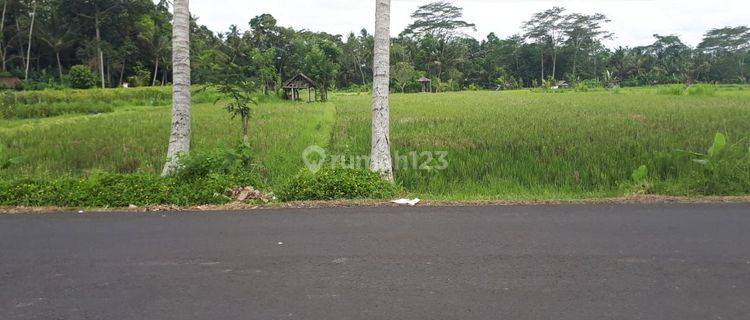 Land for sale / freehold land at Kuwum Mengwi Badung Bali location 1