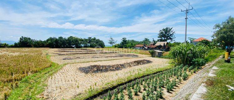 Dijual tanah los pantai lokasi pantai lebih gianyar bali 1