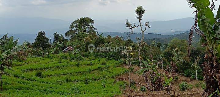 Land for sale in Gesing Buleleng Bali 1