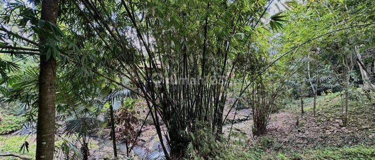 Dijual tanah langsung sungai lokasi tumbak bayuh pererenan 1