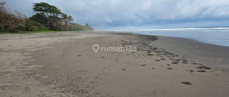 Dijual Tanah Los Pantai Lokasi Pekutatan Jembrana Bali 1