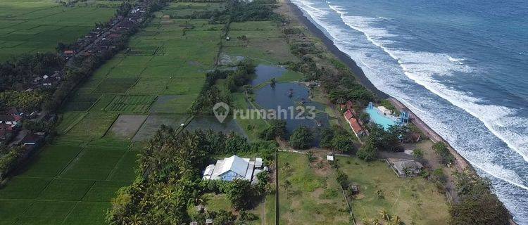 Dijual Tanah Los Pantai Lokasi Delodbrawah Jembrana 1