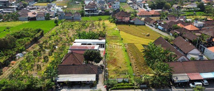 Disewakan Tanah Lokasi Padonan Kuta Utara Badung 1