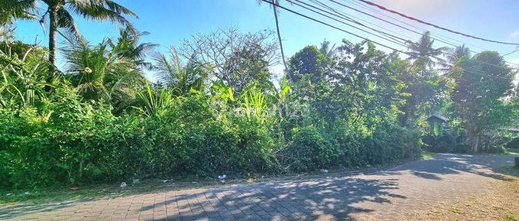 Dijual Tanah Dekat Villa Soori Lokasi Kelating Tabanan Bali 1